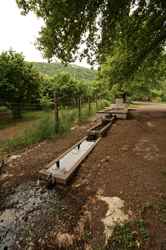 Fontanili del Lazio